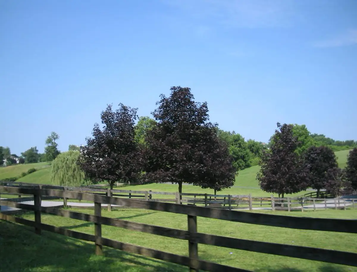 East Bradford Township, Pennsylvania